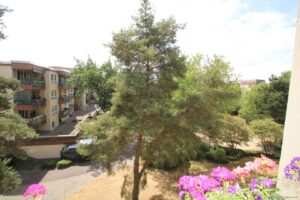 Parkblick